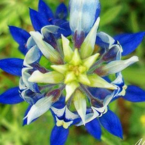 Meet your Posher, Karla